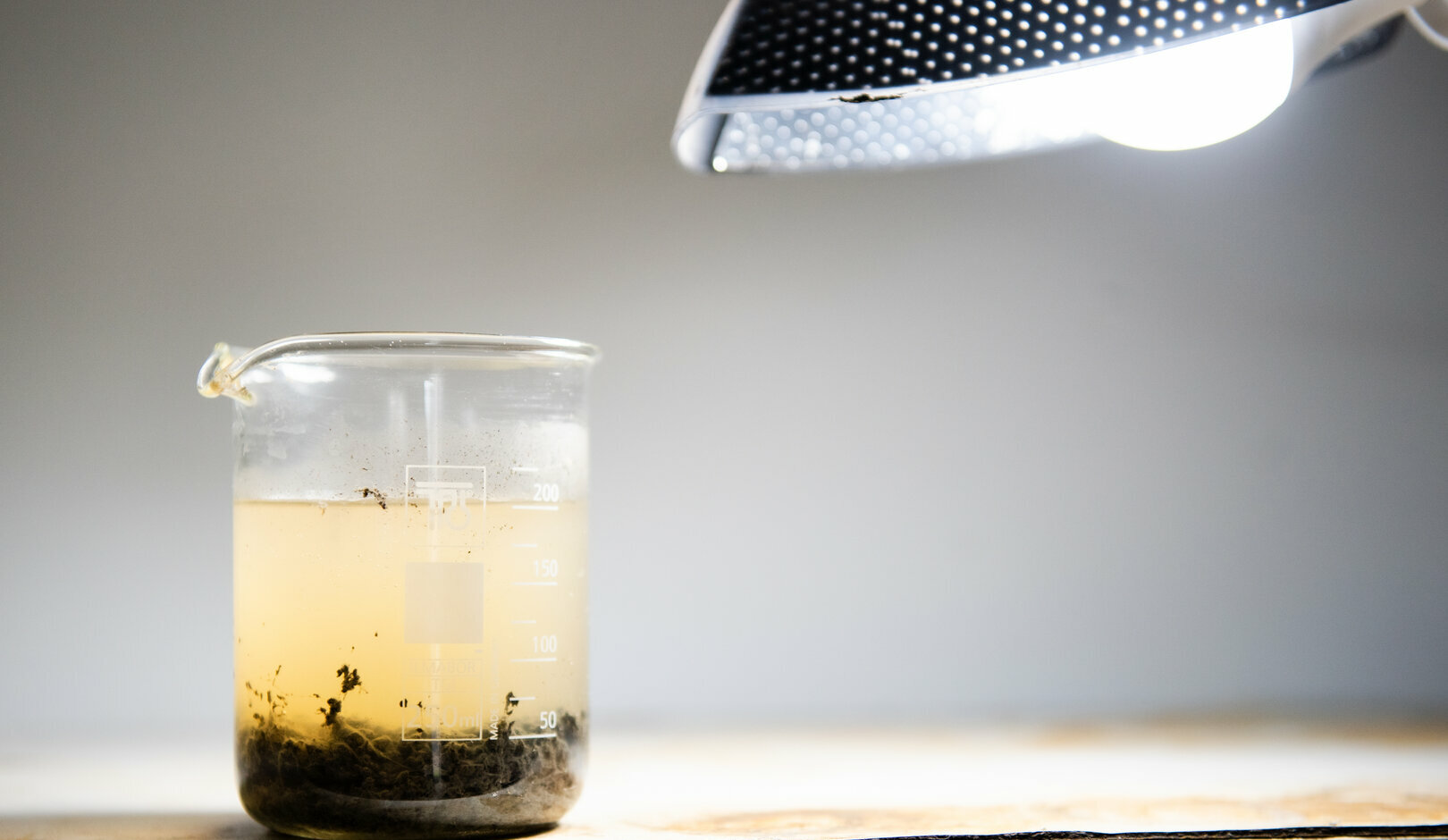 Liquid Processing Services REMONDIS Somerton