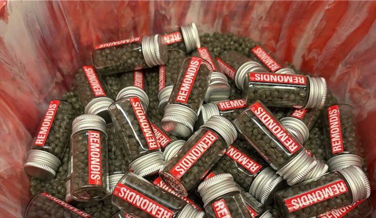 REMONDIS with NSW Parliament